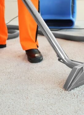 Carpet-Cleaning-professional